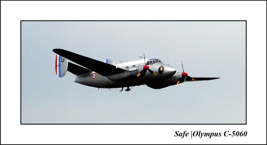 2005   05   MD 311 Flamant    5.JPG